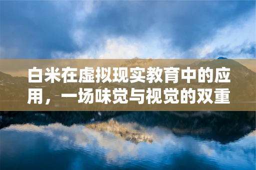 白米在虚拟现实教育中的应用，一场味觉与视觉的双重盛宴？