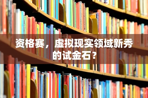 资格赛，虚拟现实领域新秀的试金石？